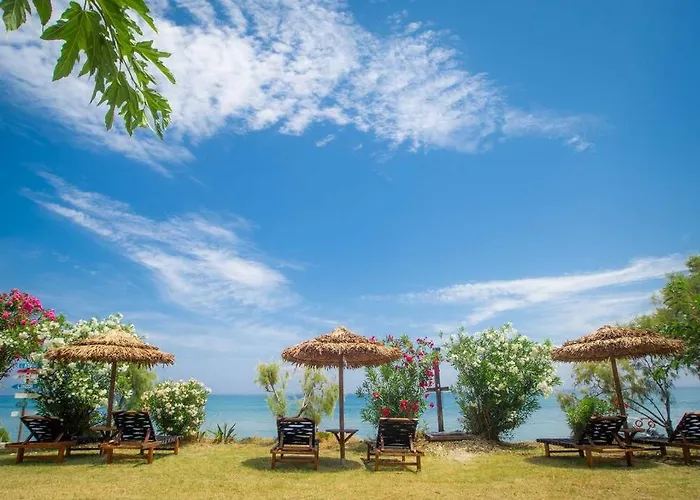 Yolo Resort - Notte