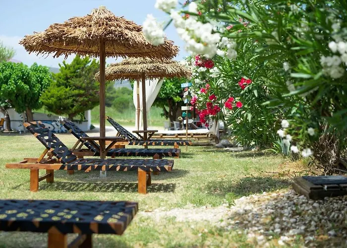Yolo Resort - Notte