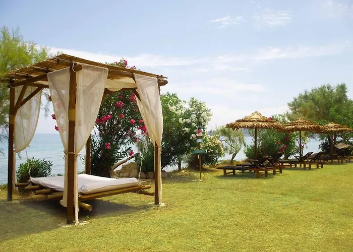 Yolo Resort - Notte